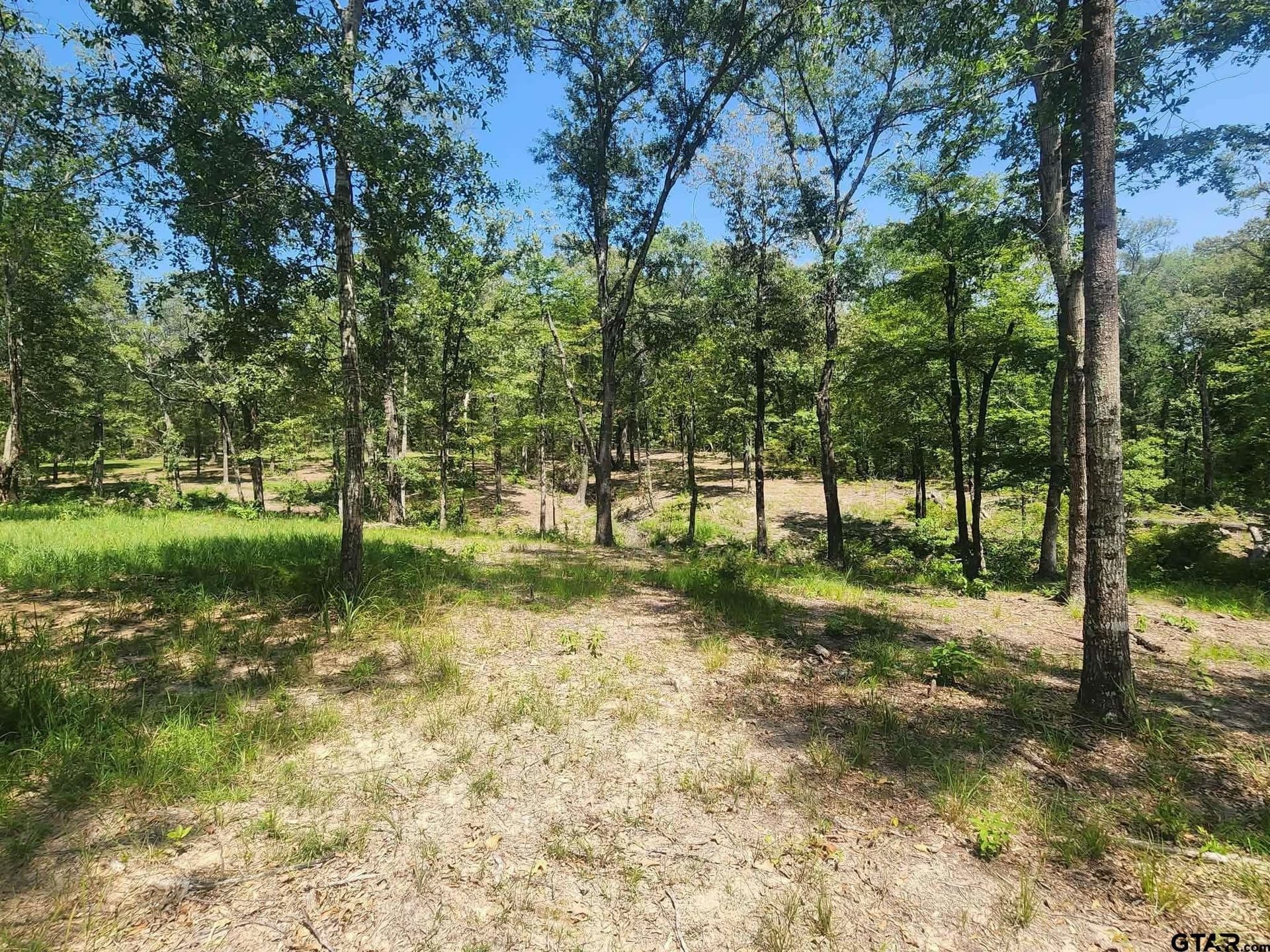 24.58 acres in Henderson County - photo 16