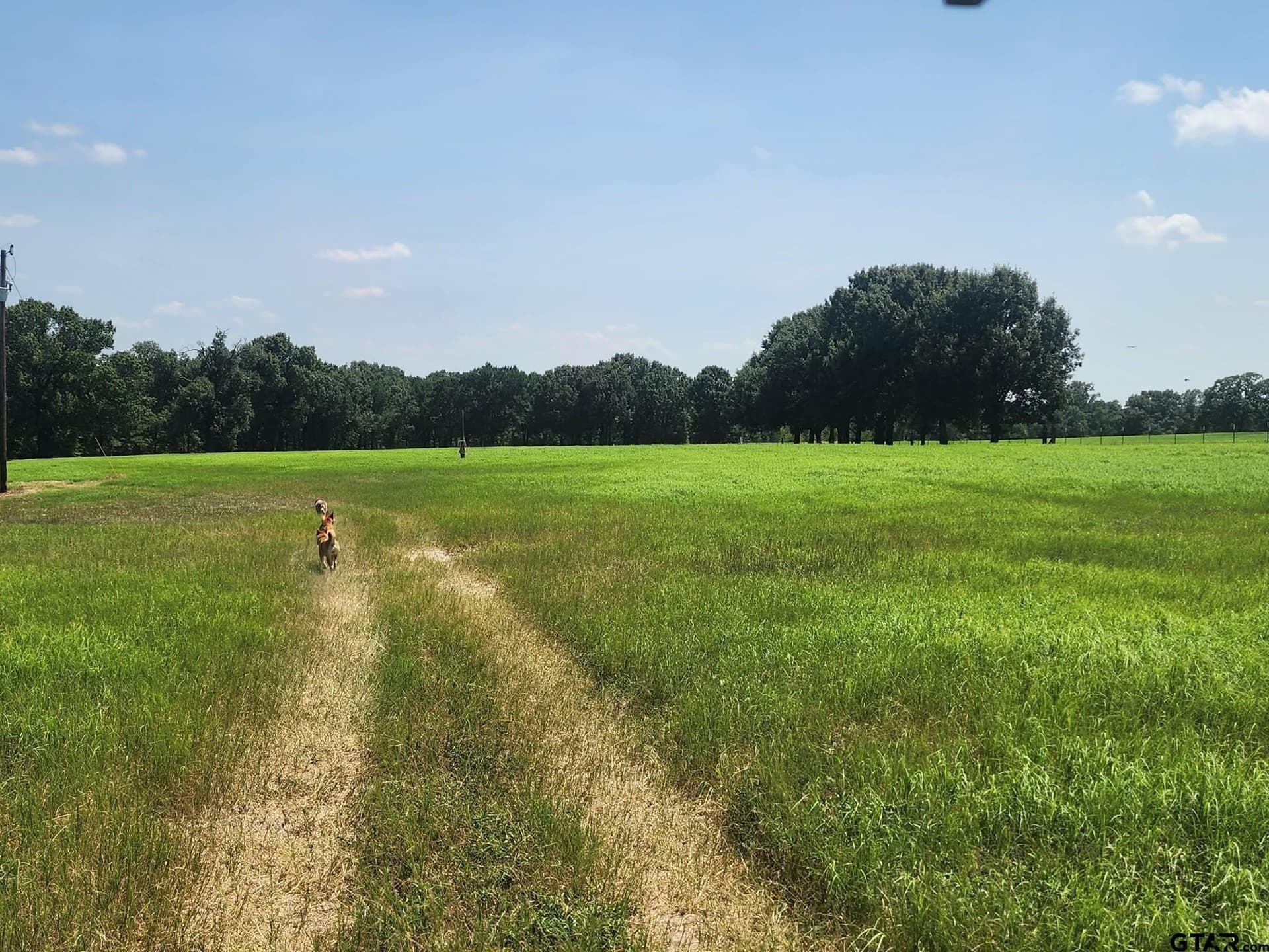 24.58 acres in Henderson County - photo 2