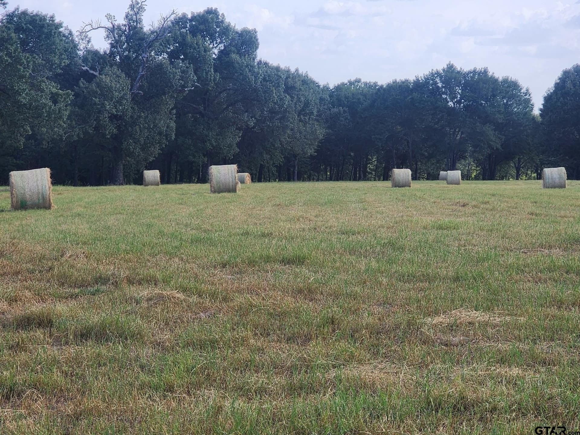24.58 acres in Henderson County - photo 24