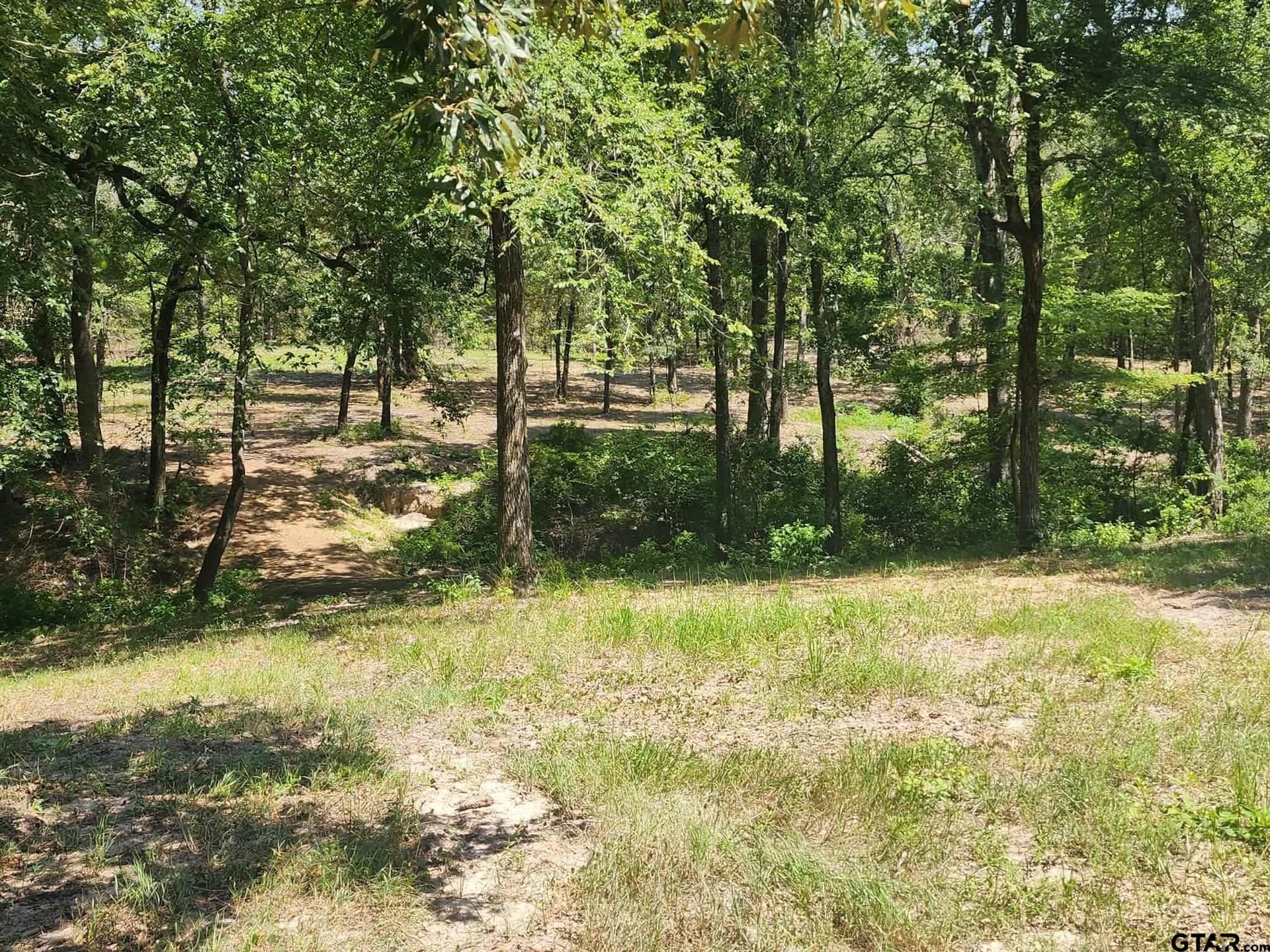 24.58 acres in Henderson County - photo 22