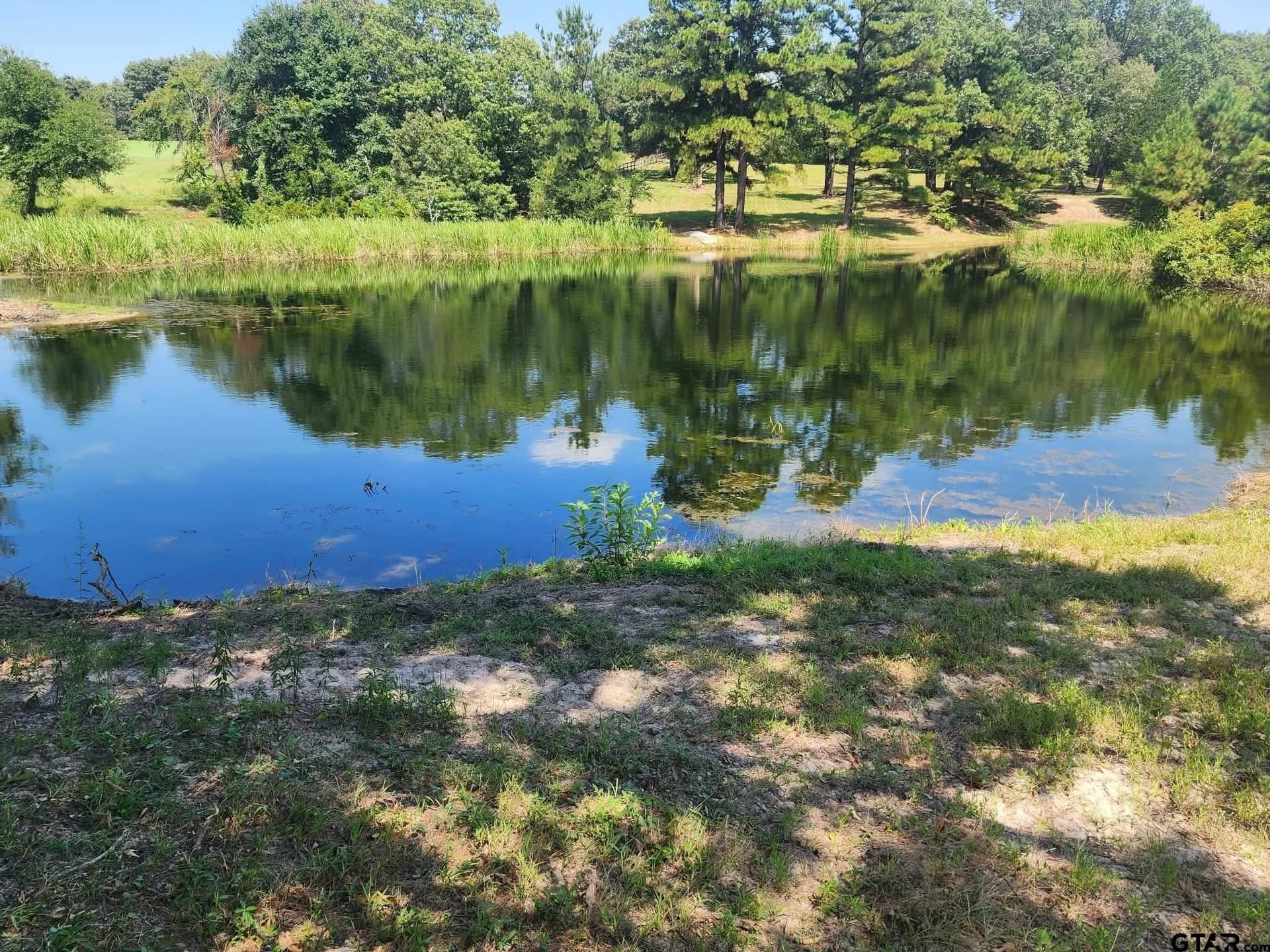 24.58 acres in Henderson County - photo 10