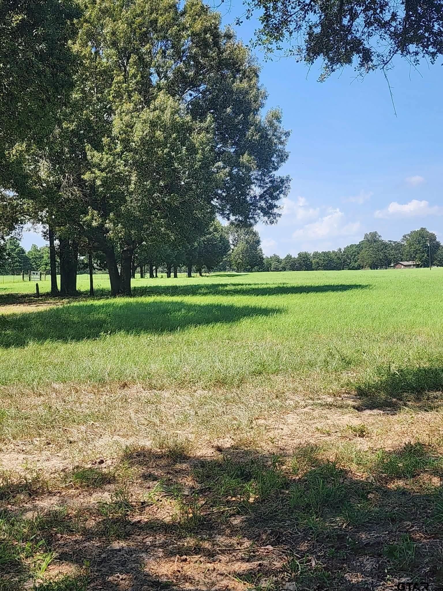 24.58 acres in Henderson County - photo 13