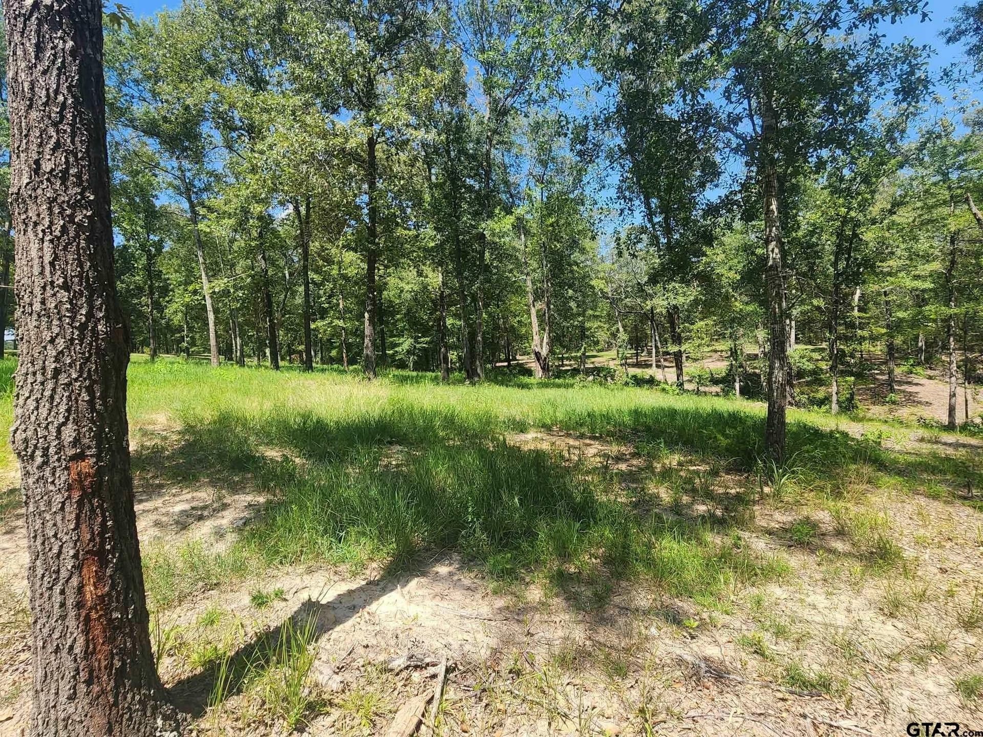 24.58 acres in Henderson County - photo 14