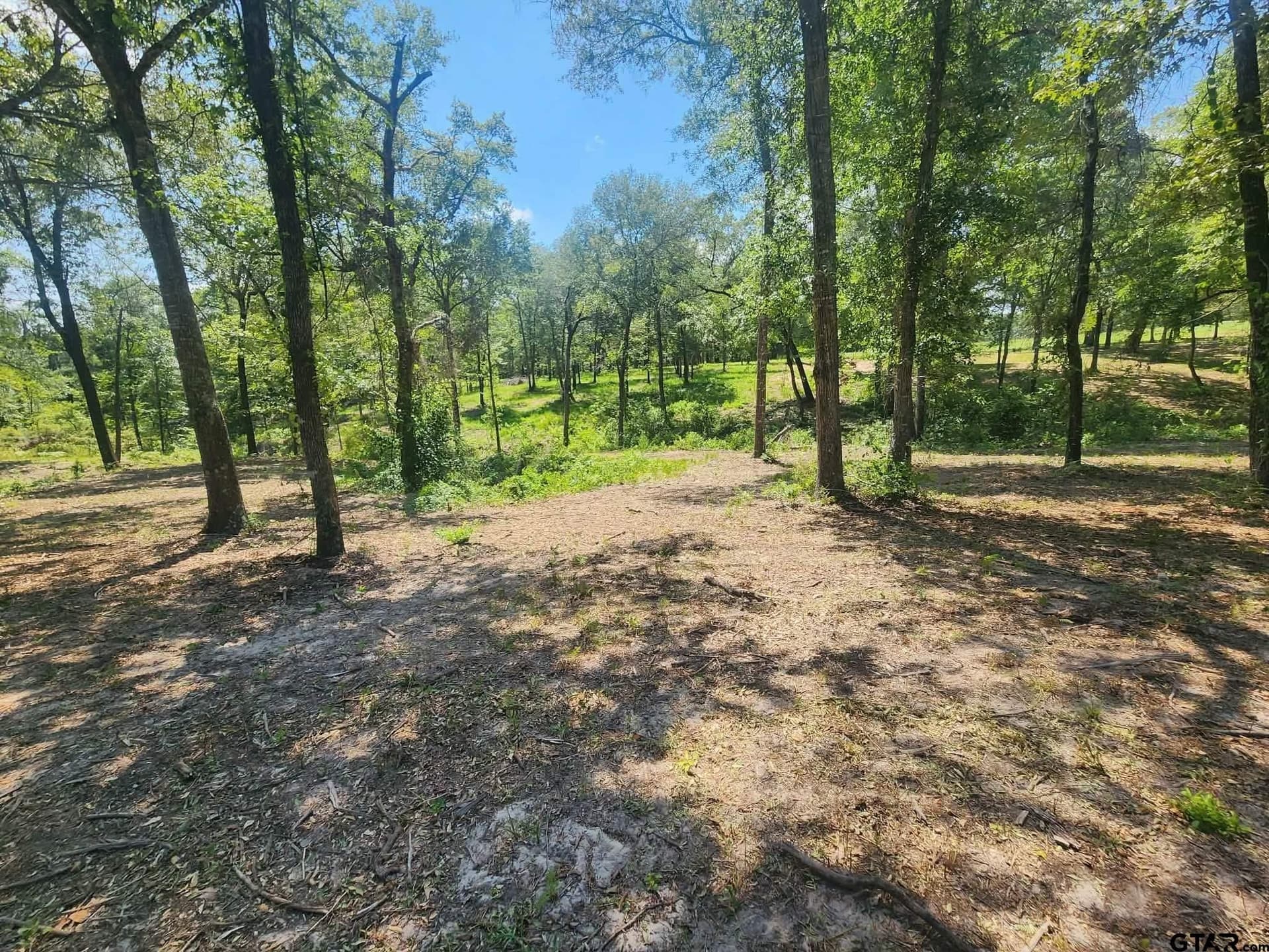 24.58 acres in Henderson County - photo 17