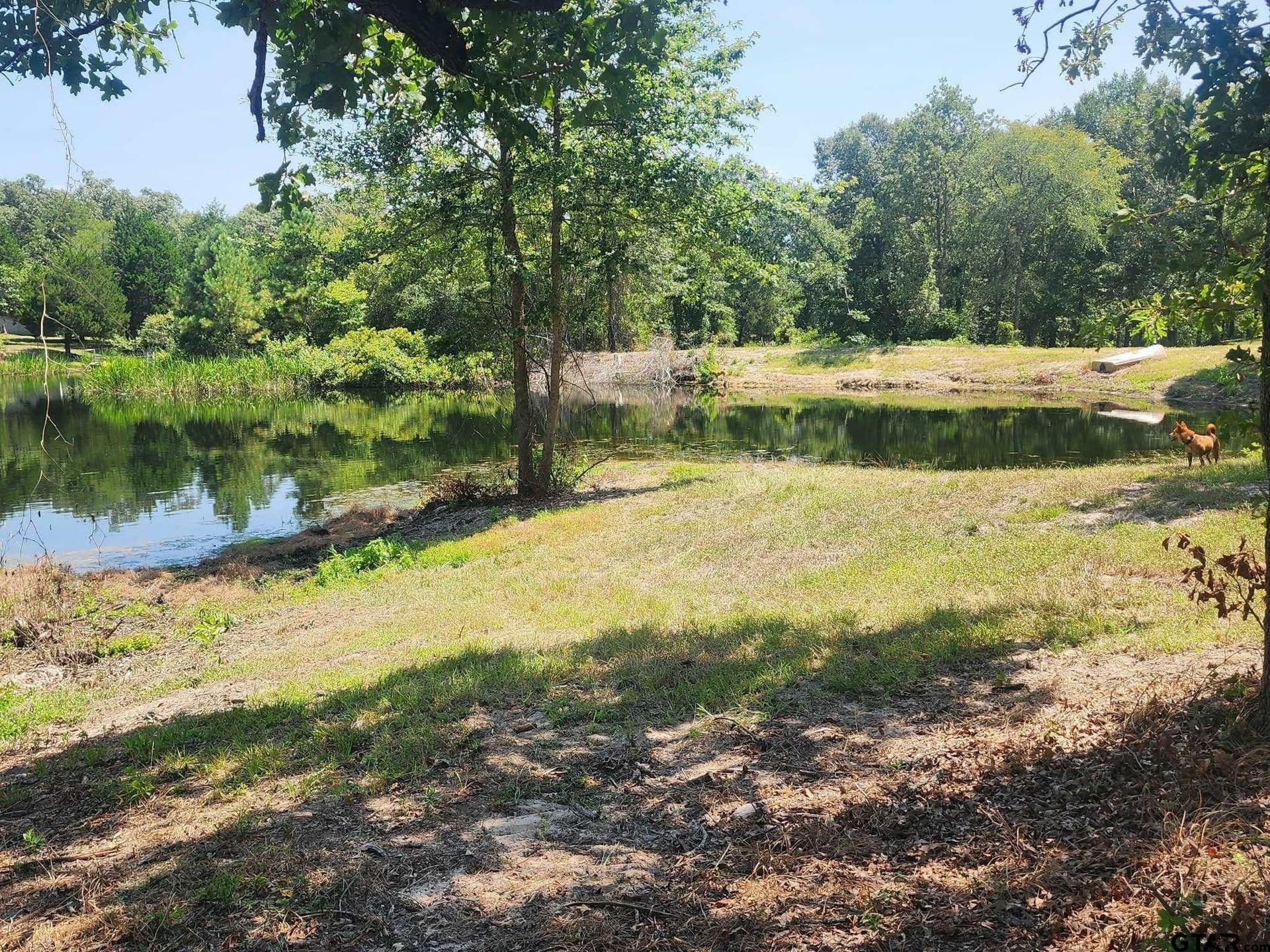 24.58 acres in Henderson County - photo 4