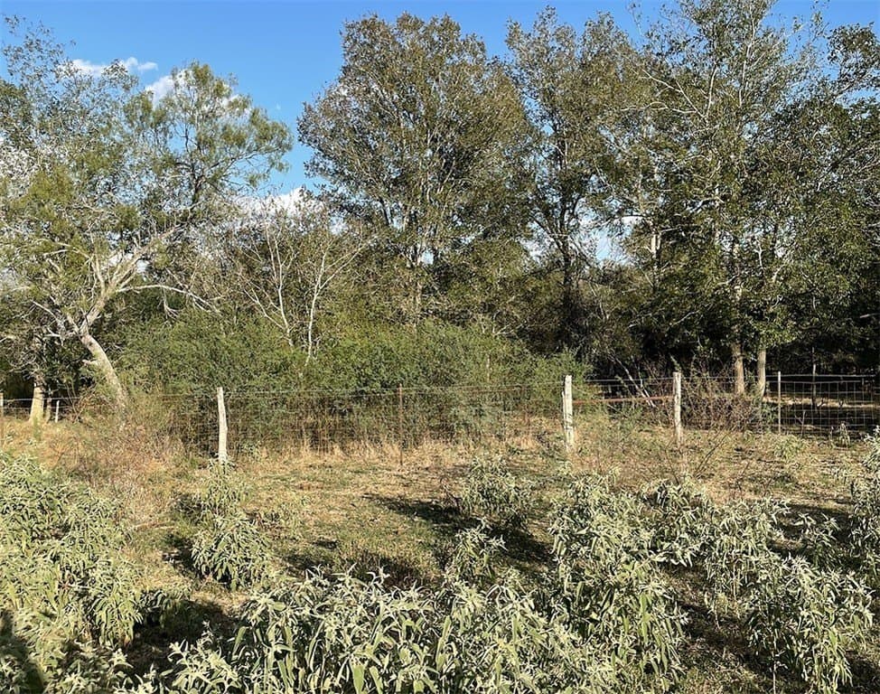 111 acres in Gonzales County - photo 12