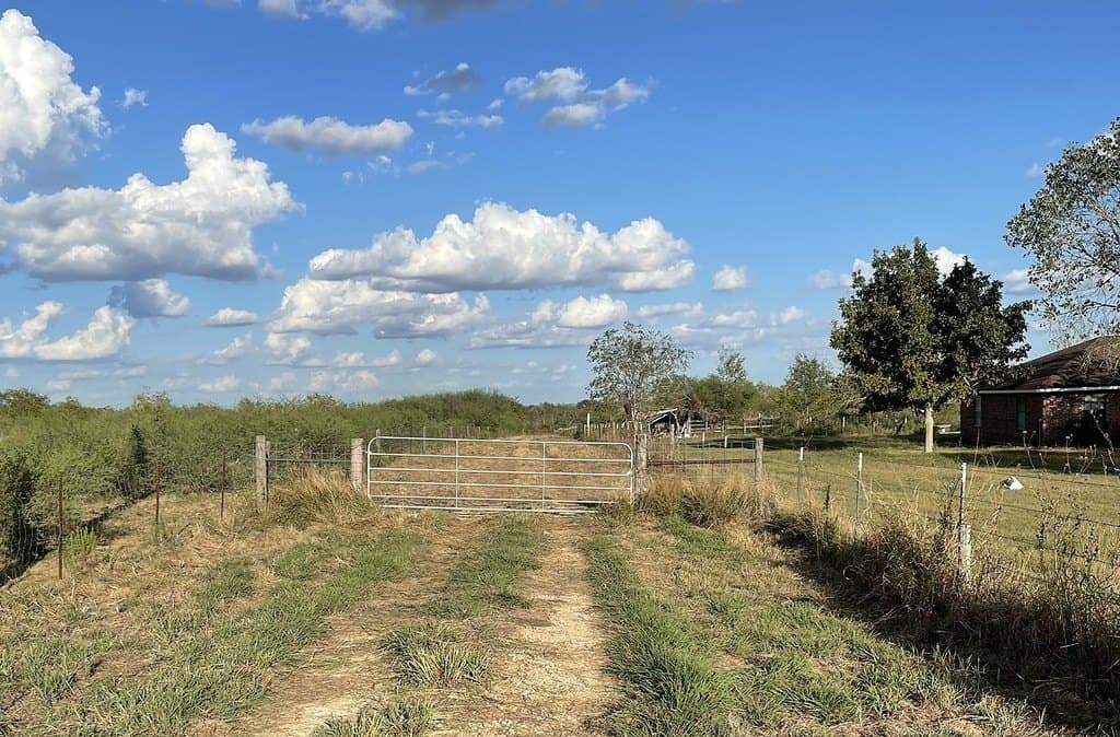 111 acres in Gonzales County - photo 14