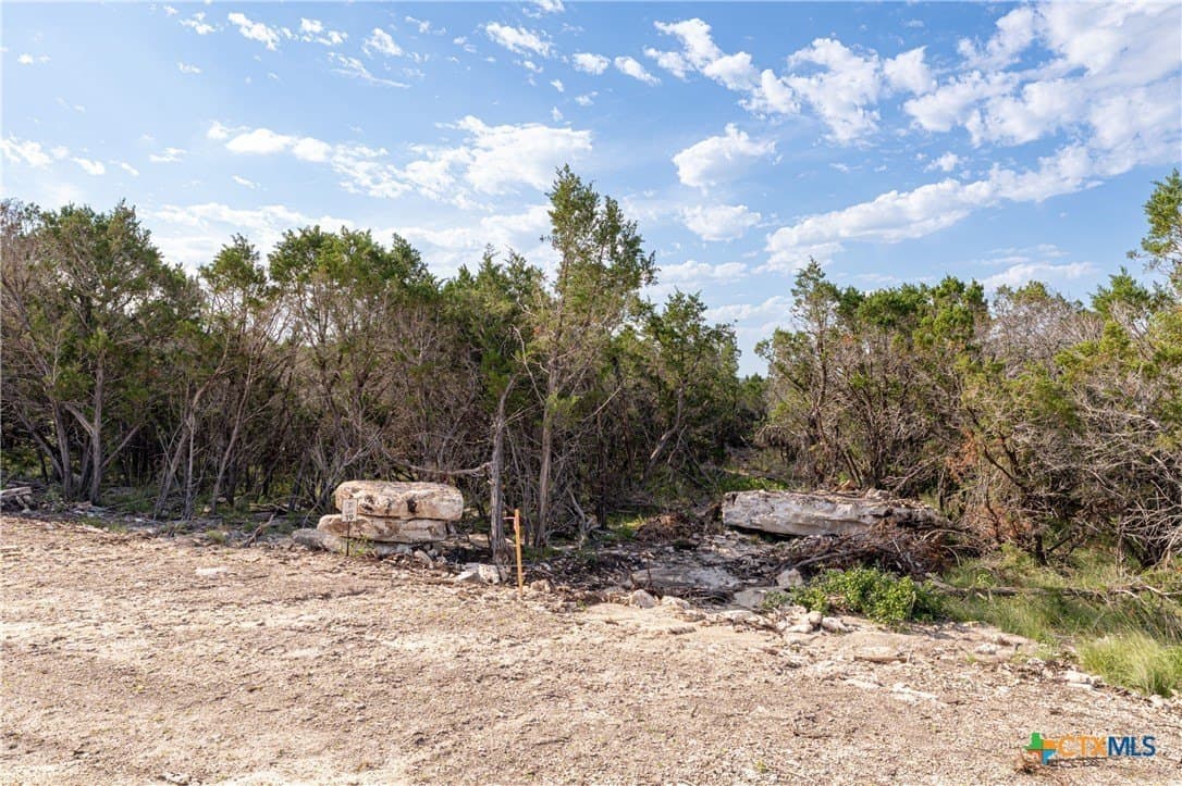 3.01 acres in Burnet County gallery image 2