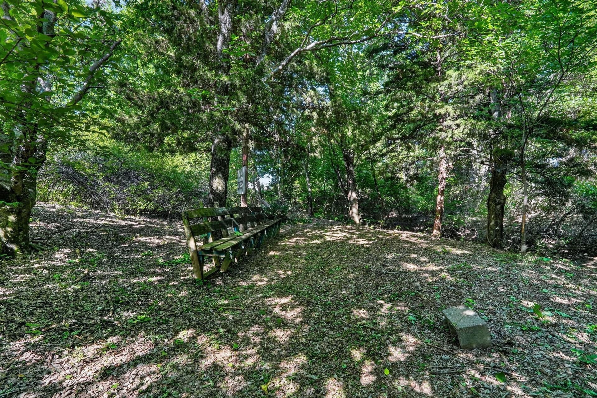 2.99 acres in Johnson County - photo 13