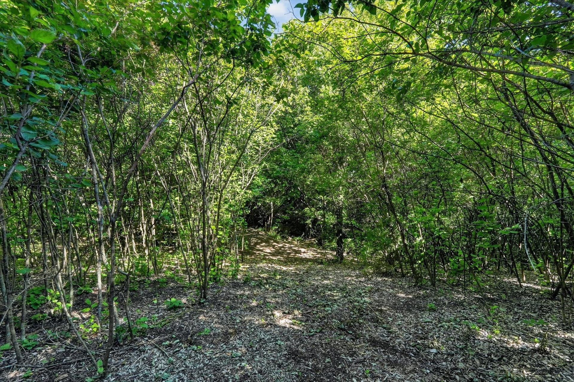 2.99 acres in Johnson County - photo 14