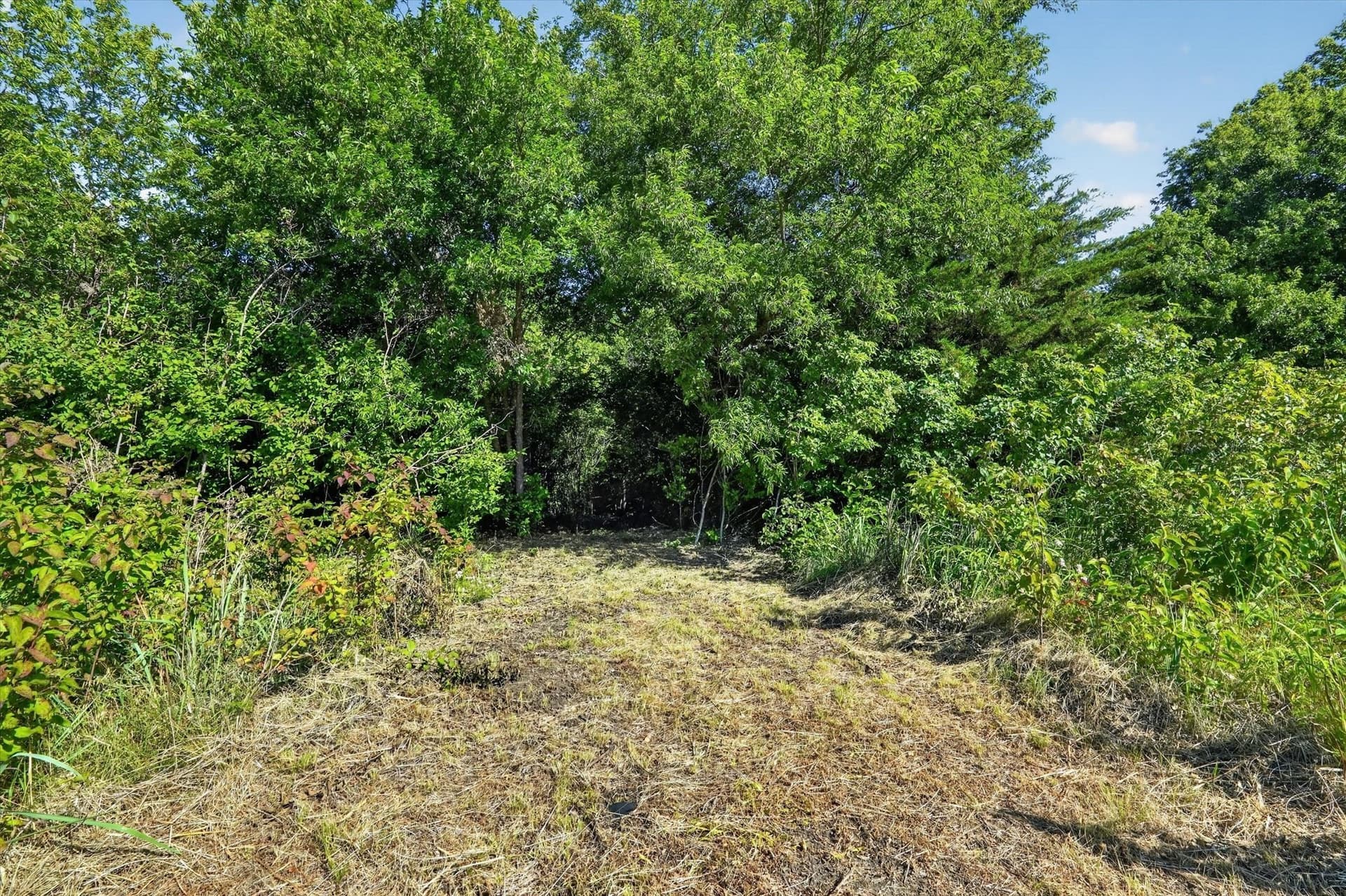 2.99 acres in Johnson County - photo 15