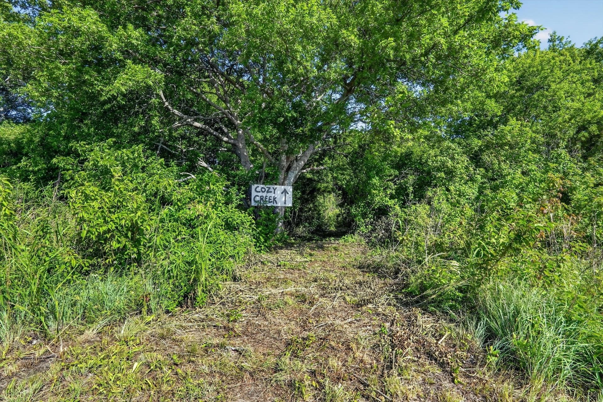 2.99 acres in Johnson County - photo 8