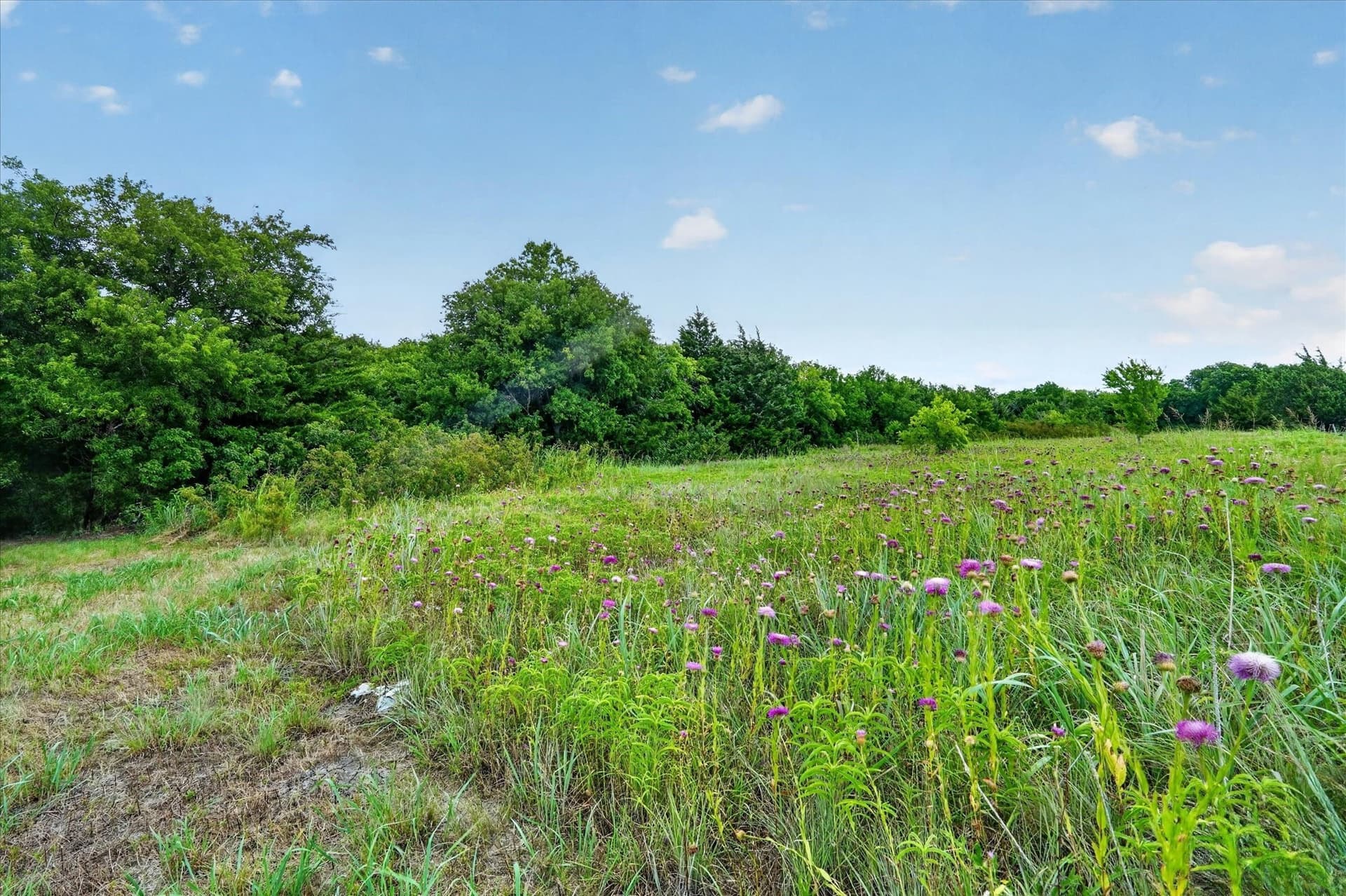 2.99 acres in Johnson County - photo 16