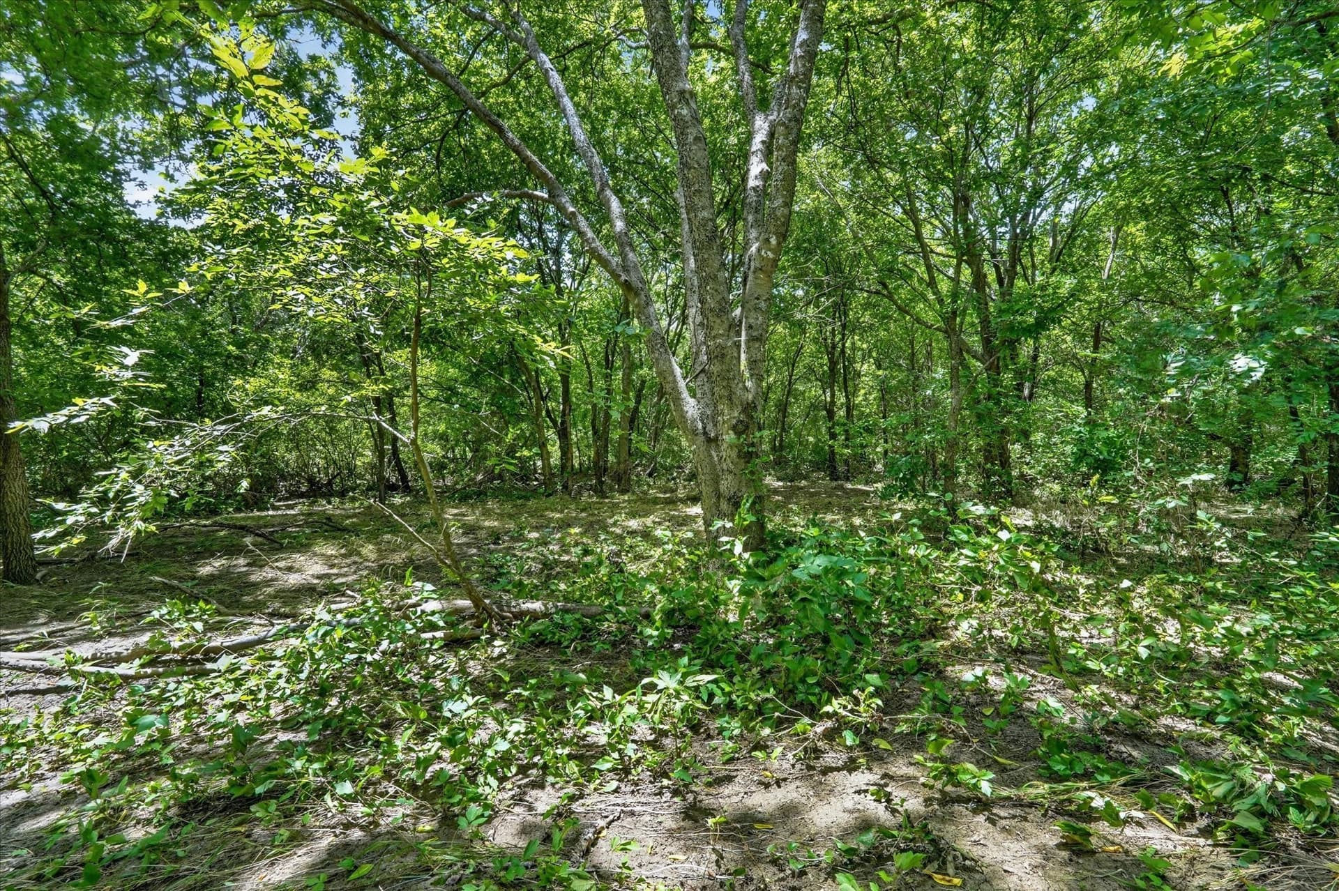2.99 acres in Johnson County - photo 22