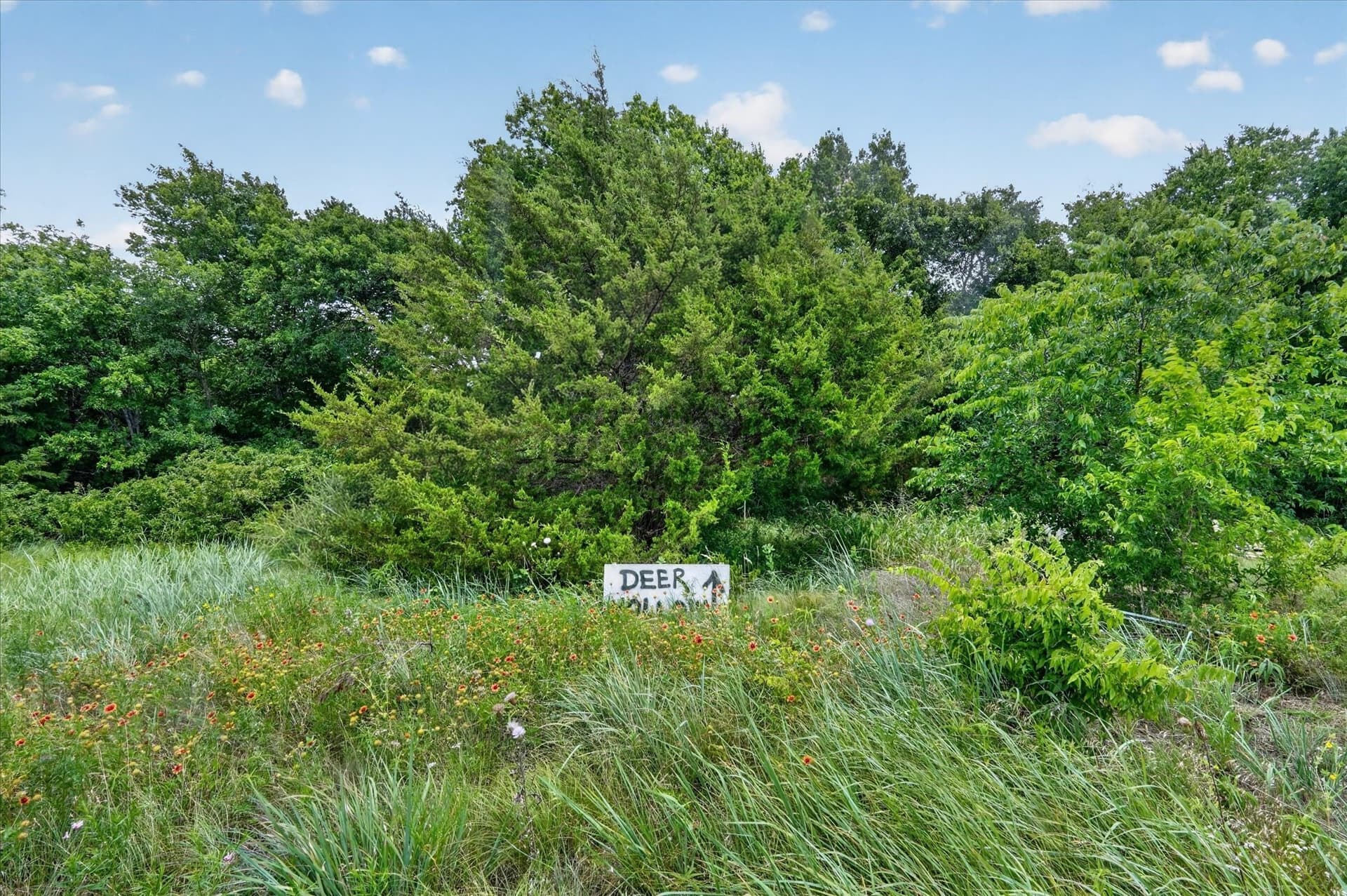 2.99 acres in Johnson County - photo 19