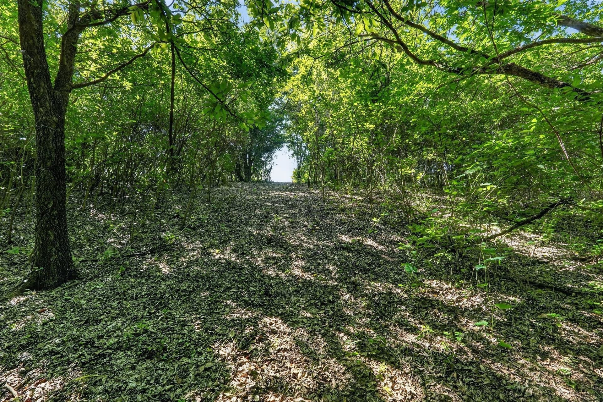2.99 acres in Johnson County - photo 12