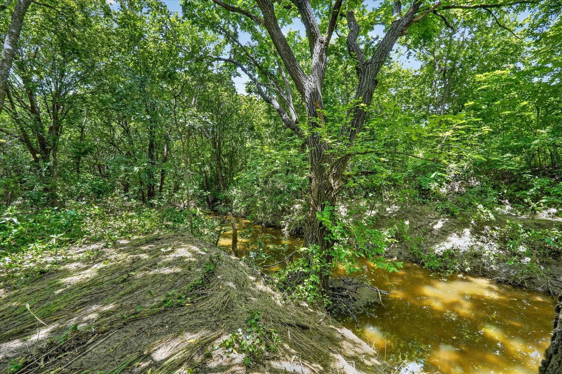 2.99 acres in Johnson County - photo 23