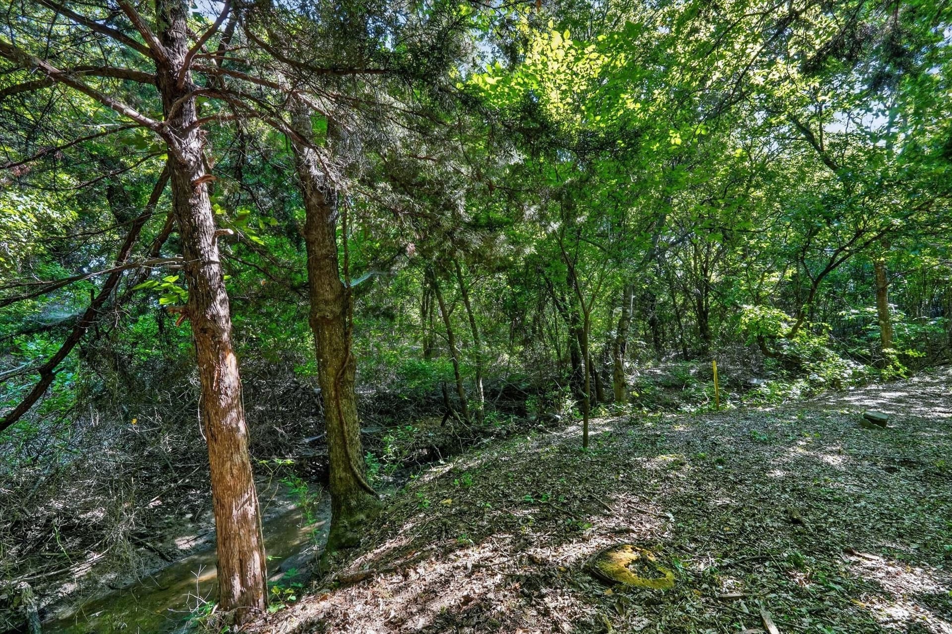 2.99 acres in Johnson County - photo 11