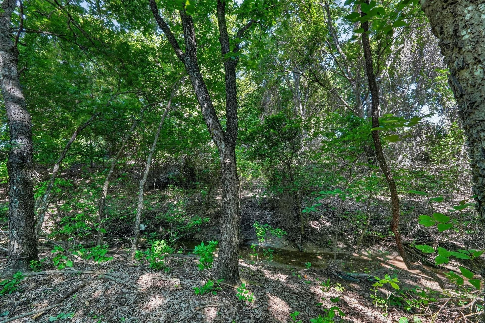 2.99 acres in Johnson County - photo 10