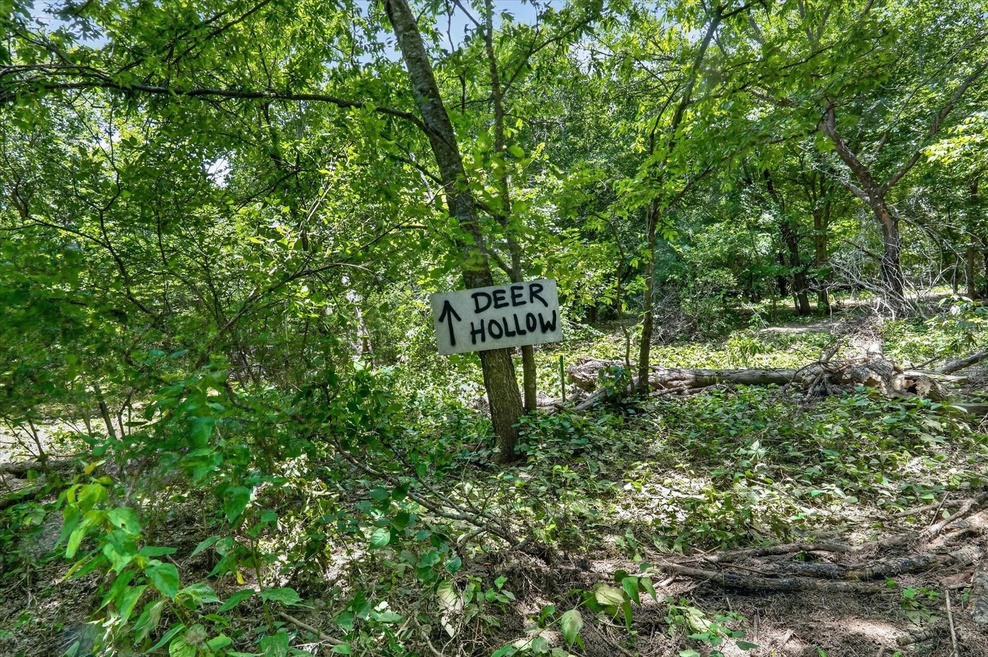 2.99 acres in Johnson County - photo 21