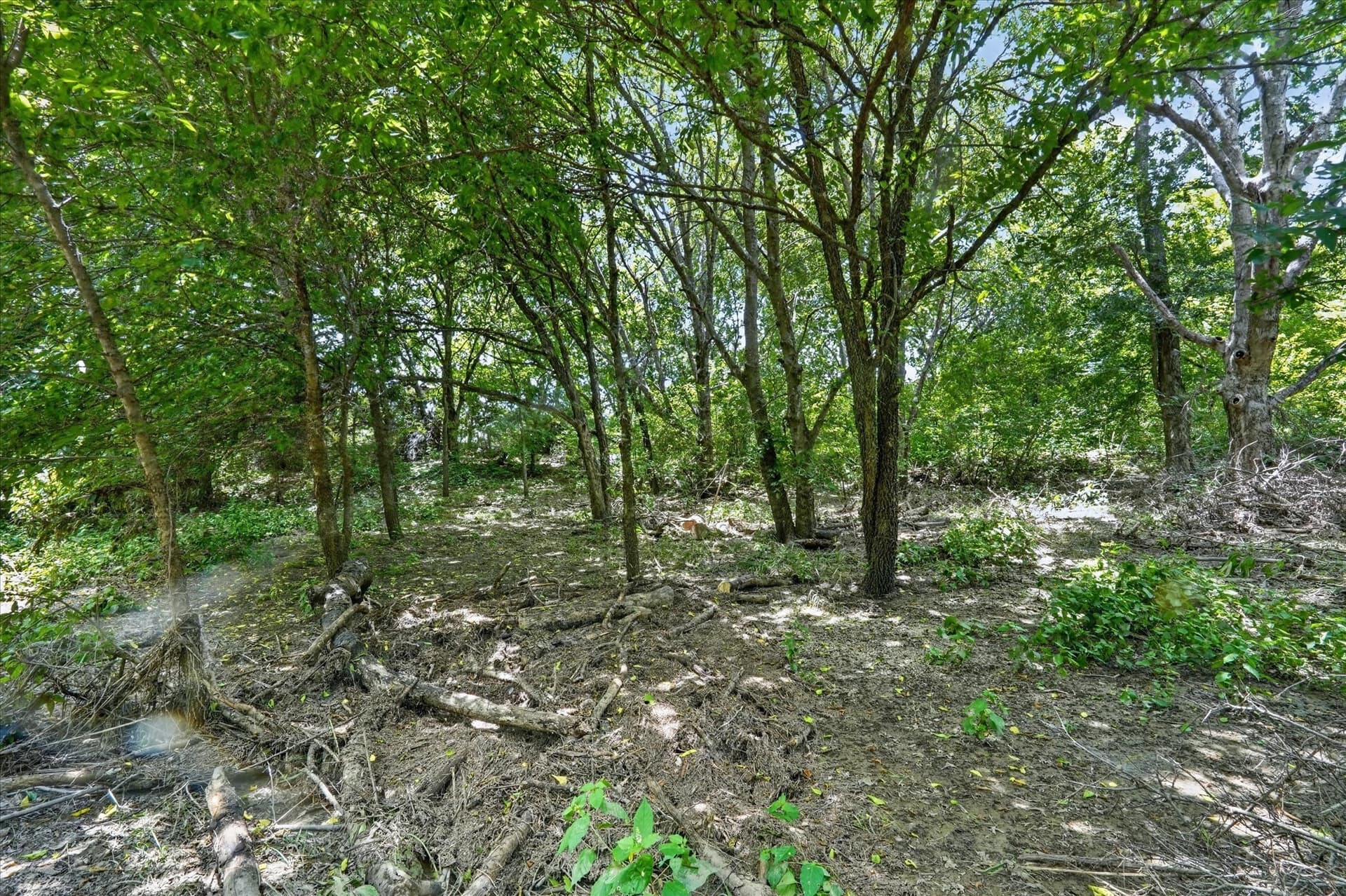 2.99 acres in Johnson County - photo 20