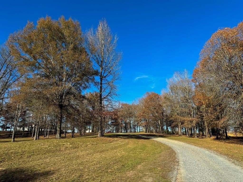 19.91 acres in Cass County - photo 38