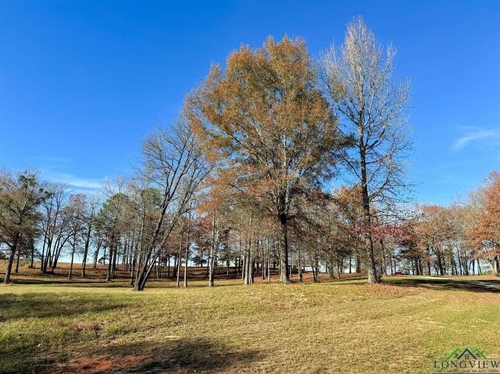 19.91 acres in Cass County - photo 39