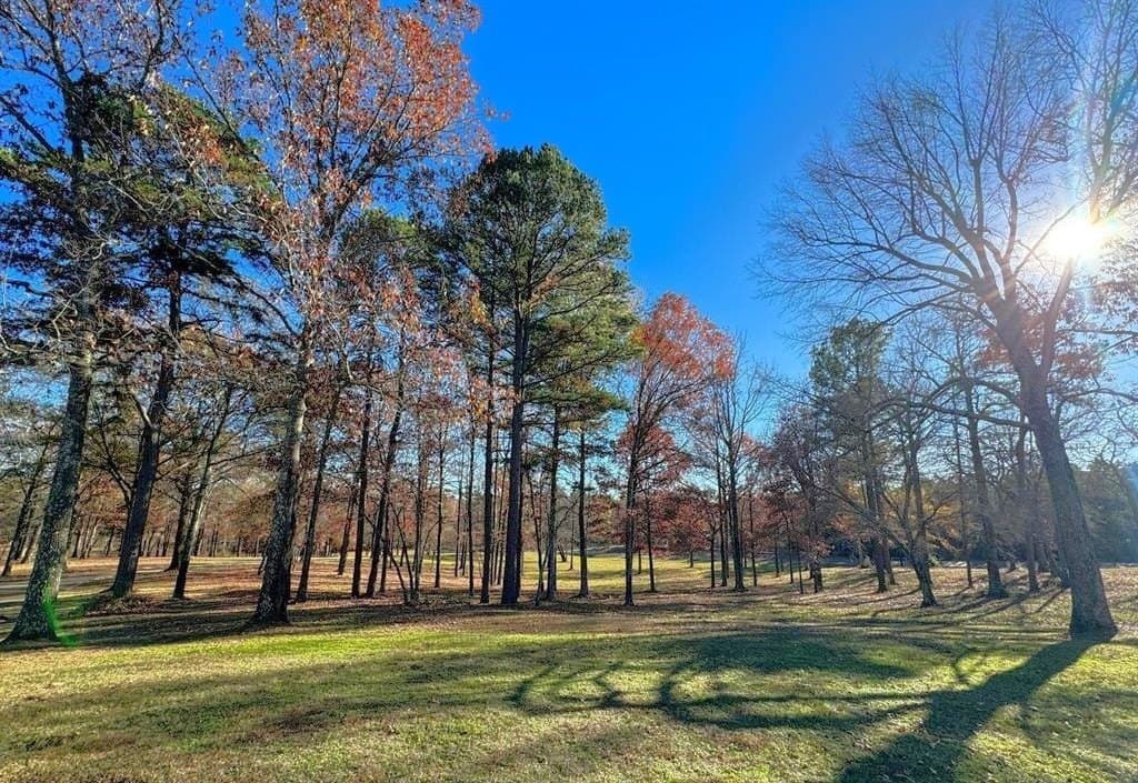 19.91 acres in Cass County - photo 37