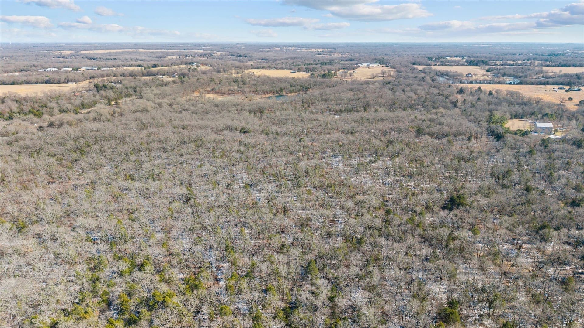 20.2 acres in Van Zandt County - photo 13