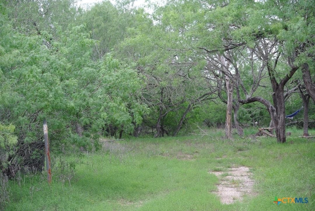 5 acres in Guadalupe County