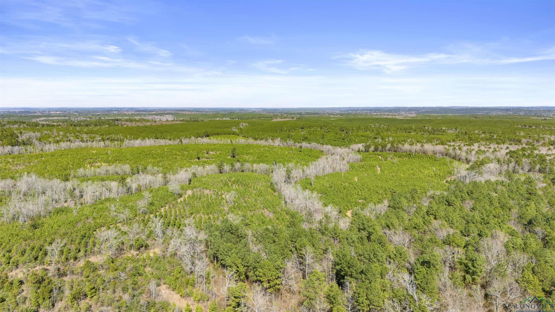 176.15 acres in Marion County featured view