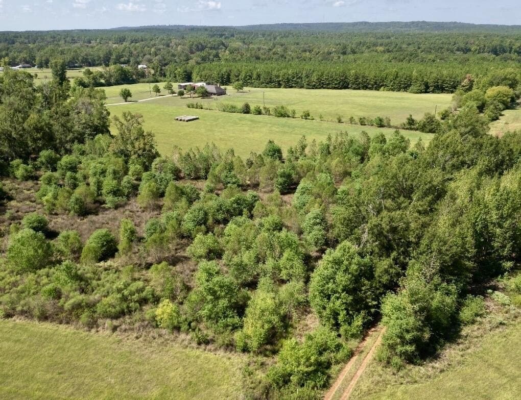 45.2 acres in Texas County - photo 38