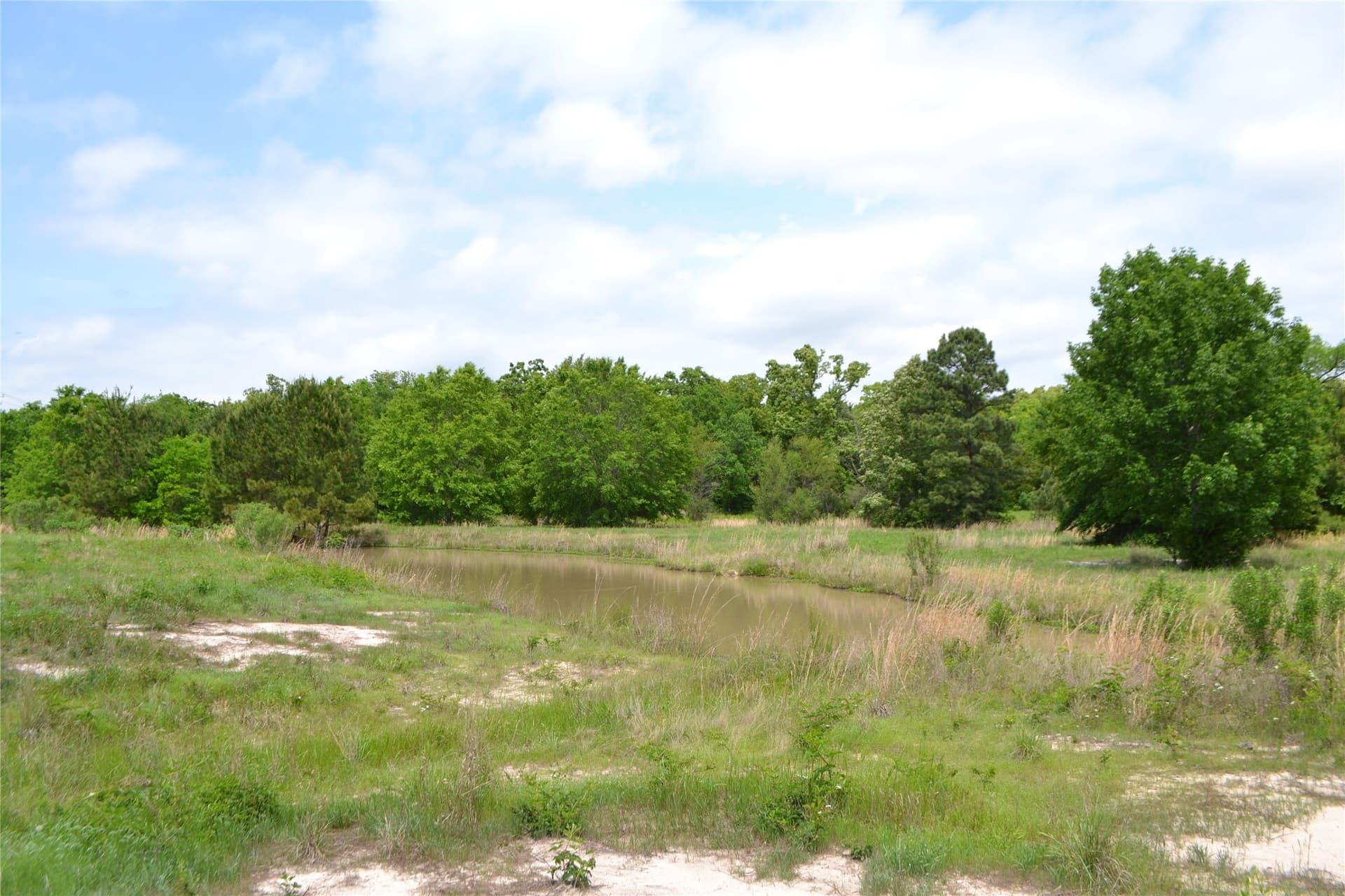 6.4 acres in Wood County - photo 6