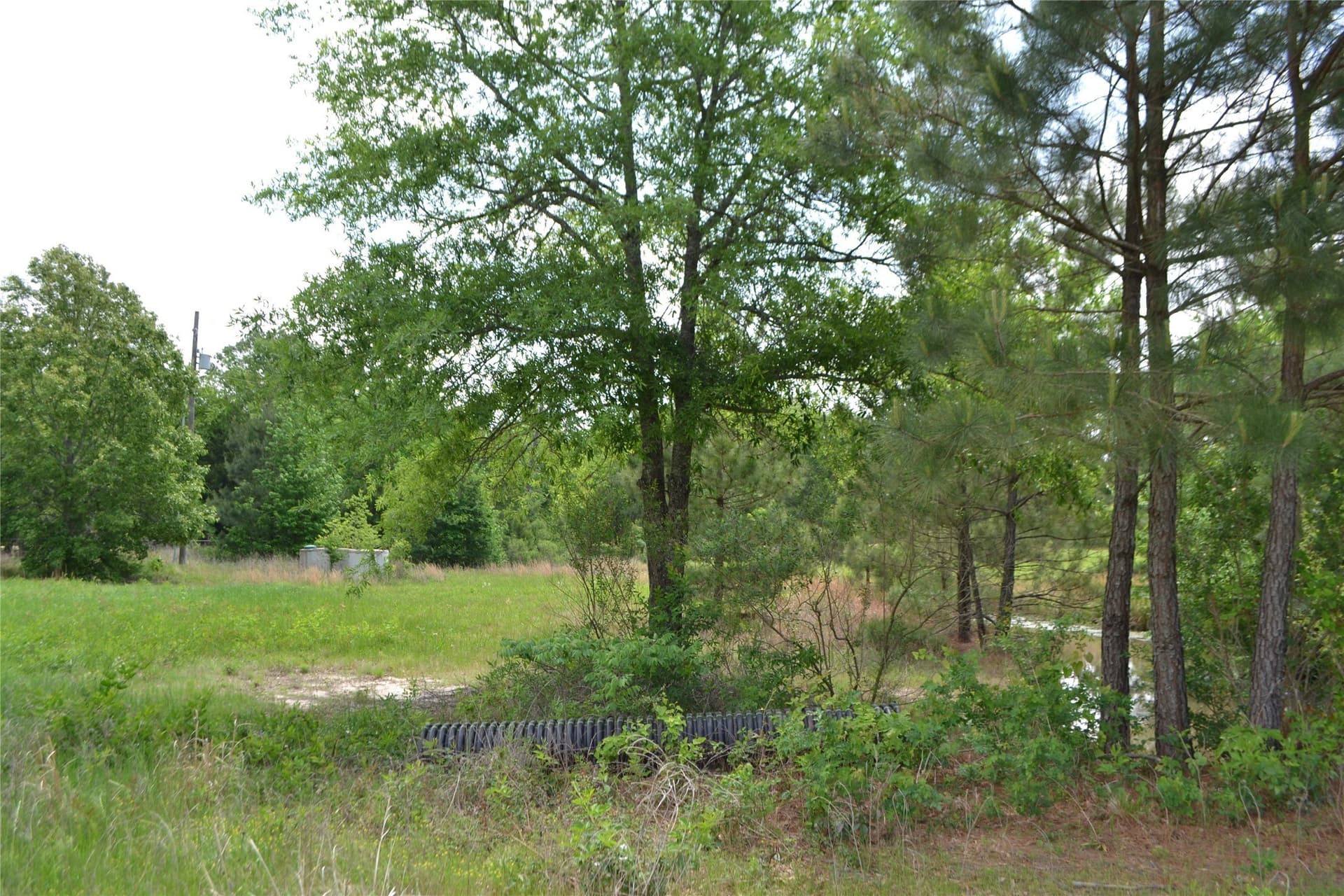 6.4 acres in Wood County - photo 8