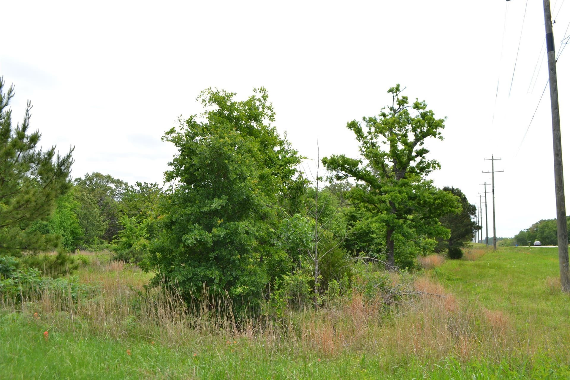6.4 acres in Wood County gallery image 4