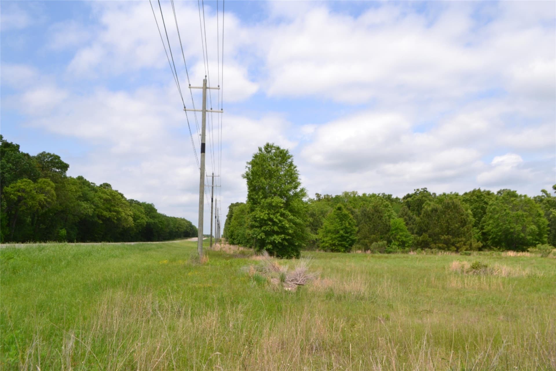 6.4 acres in Wood County gallery image 2