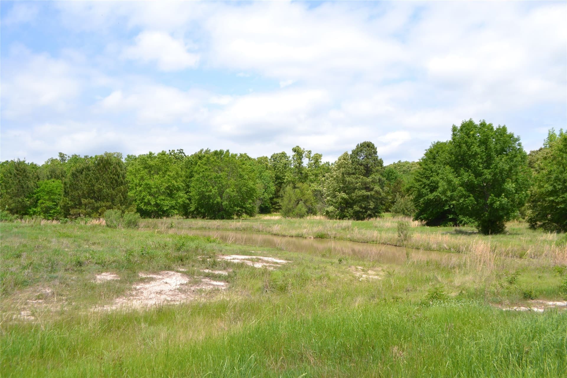 6.4 acres in Wood County featured view