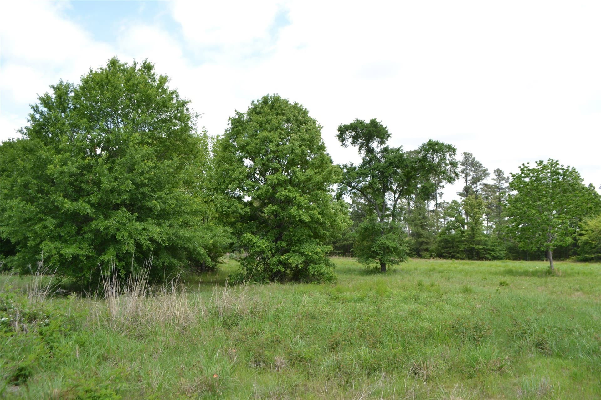 6.4 acres in Wood County - photo 10