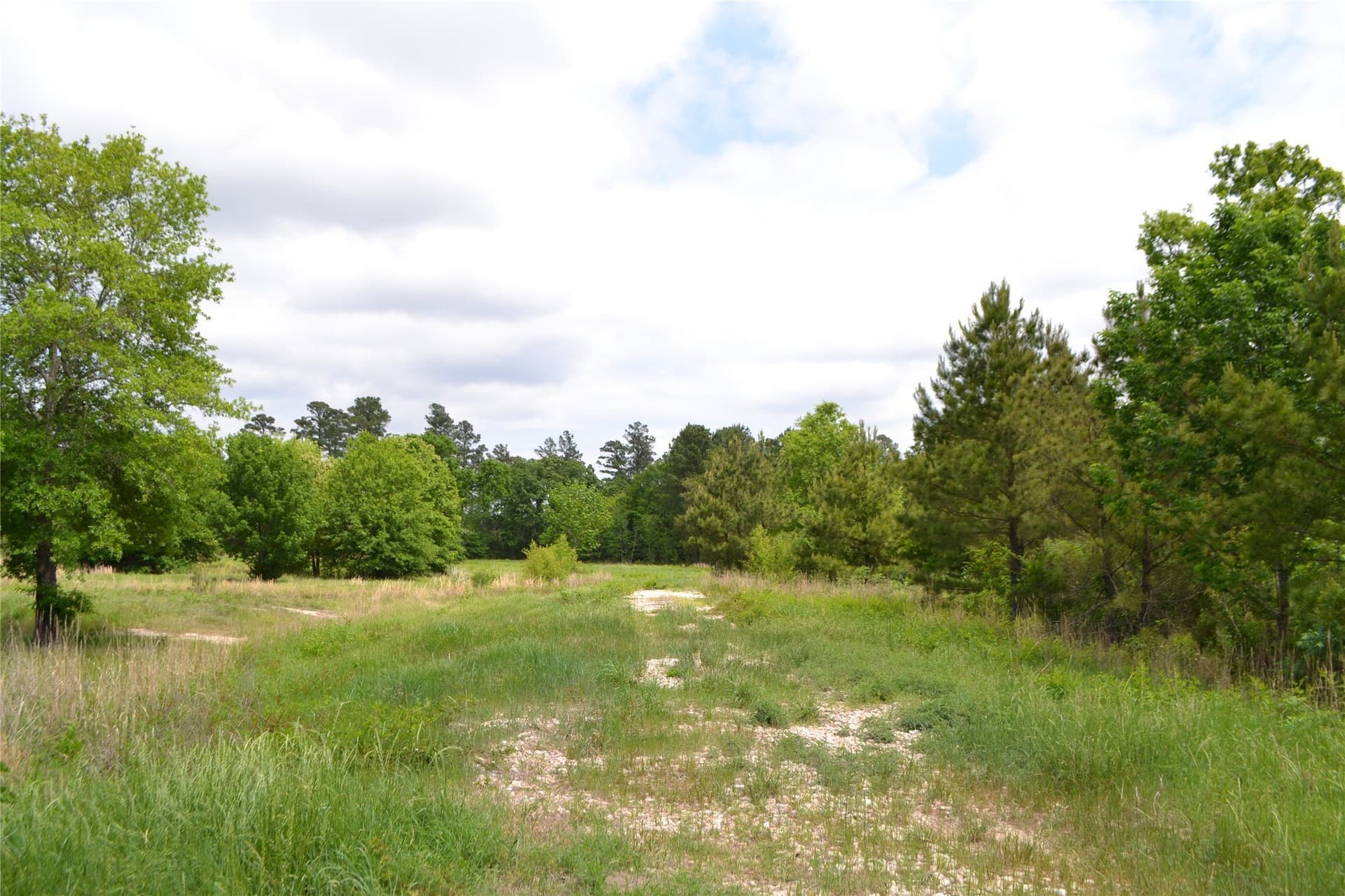 6.4 acres in Wood County gallery image 3