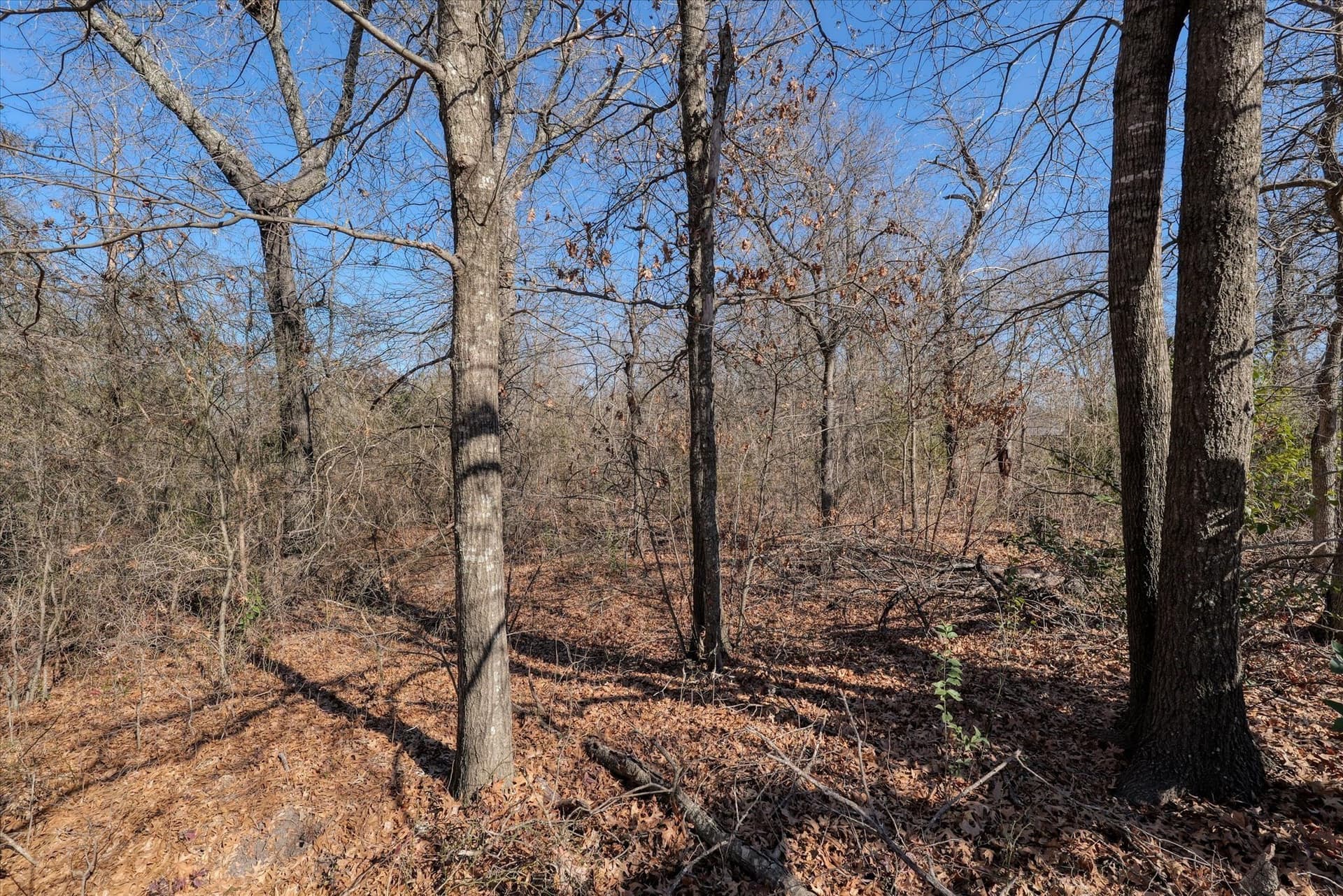 0.72 acres in McLennan County - photo 10