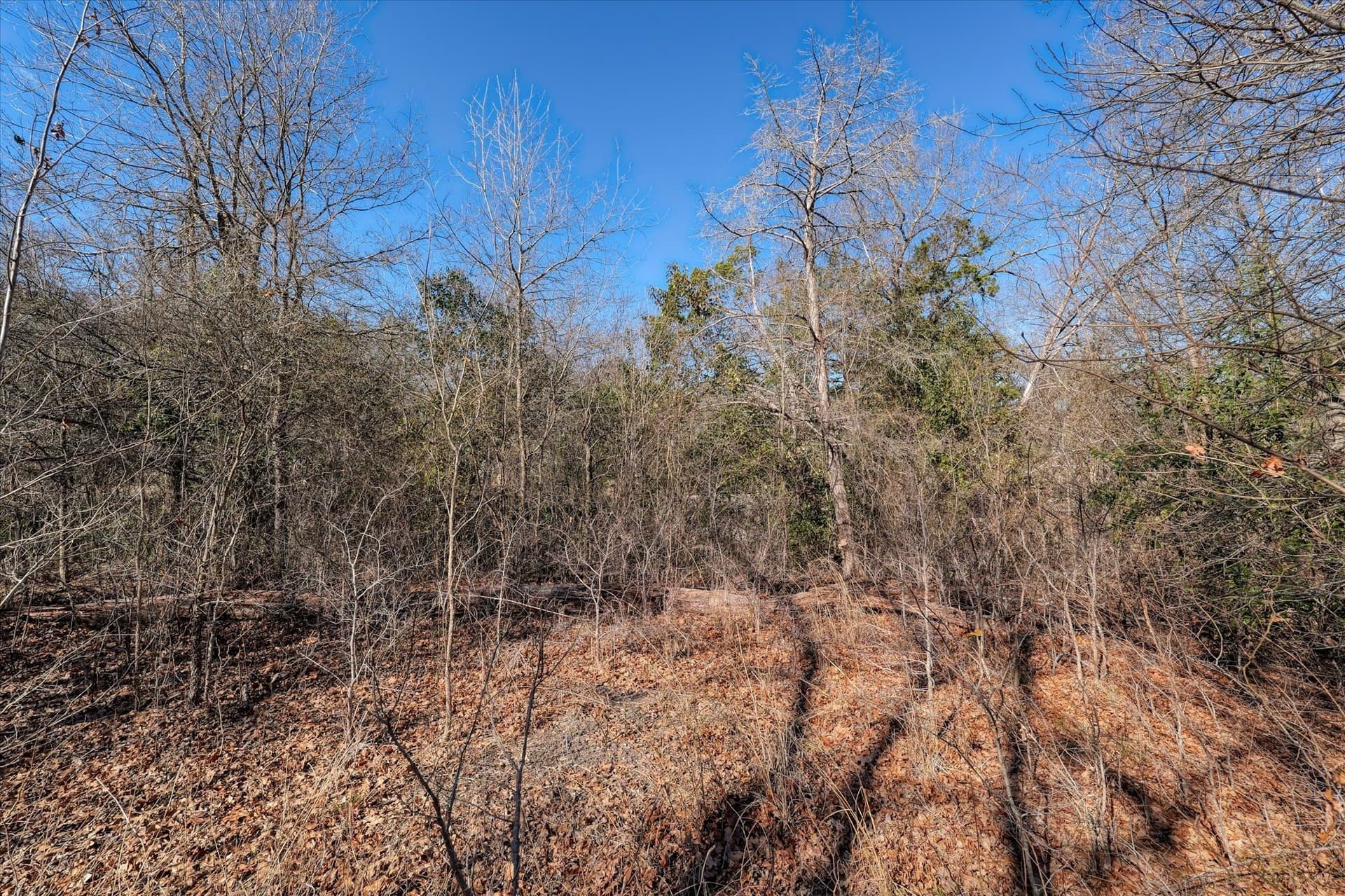 0.72 acres in McLennan County - photo 7