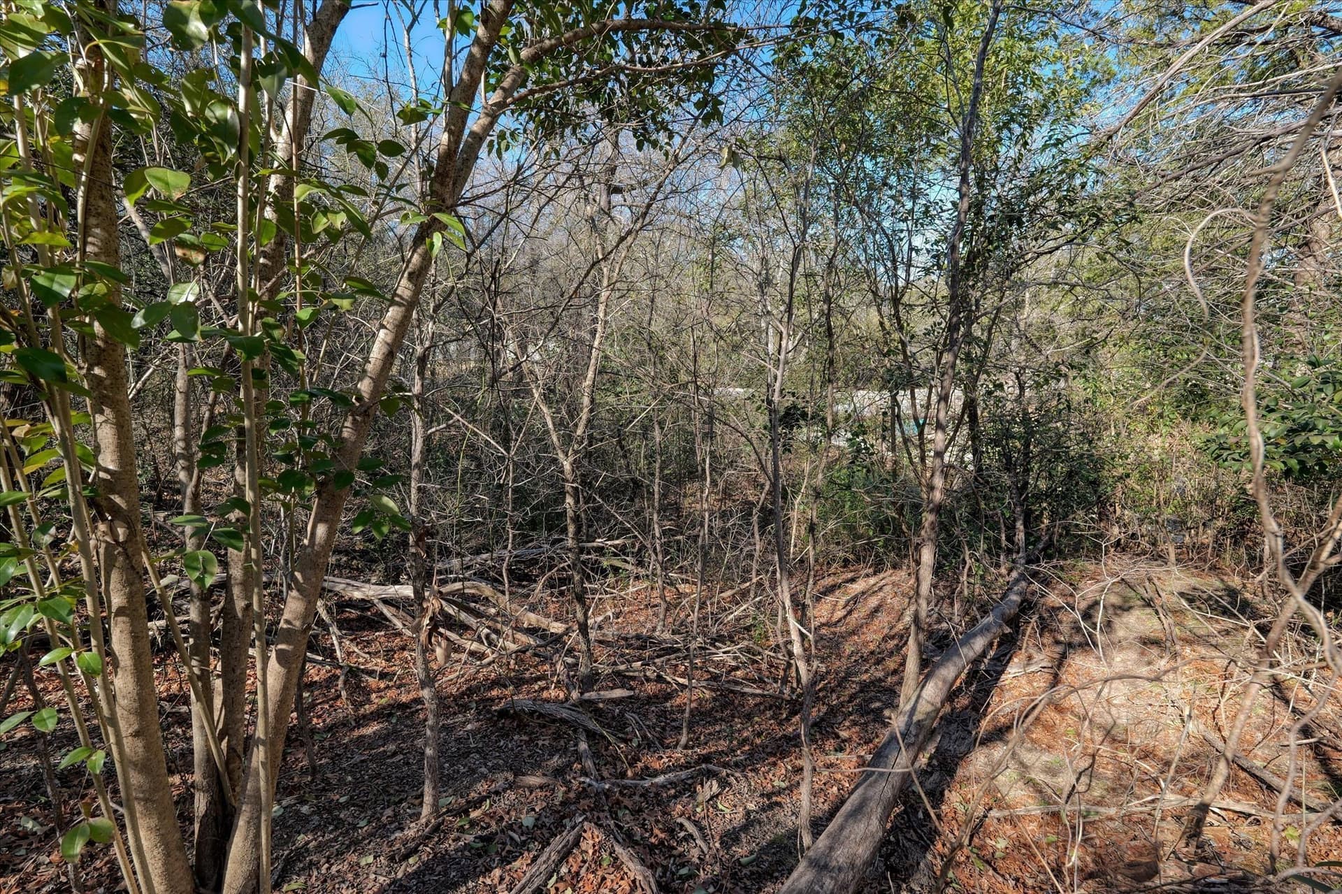 0.72 acres in McLennan County - photo 6