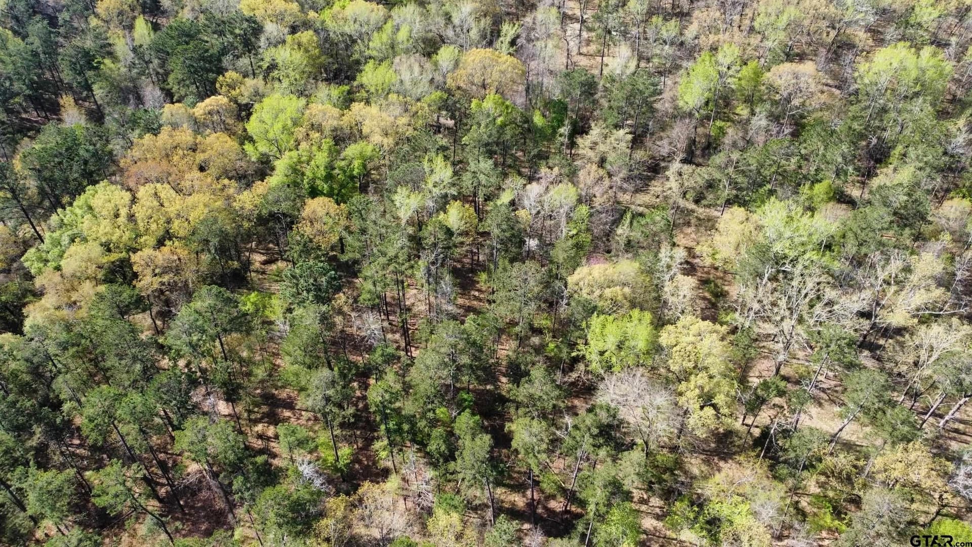74.45 acres in Smith County - photo 27