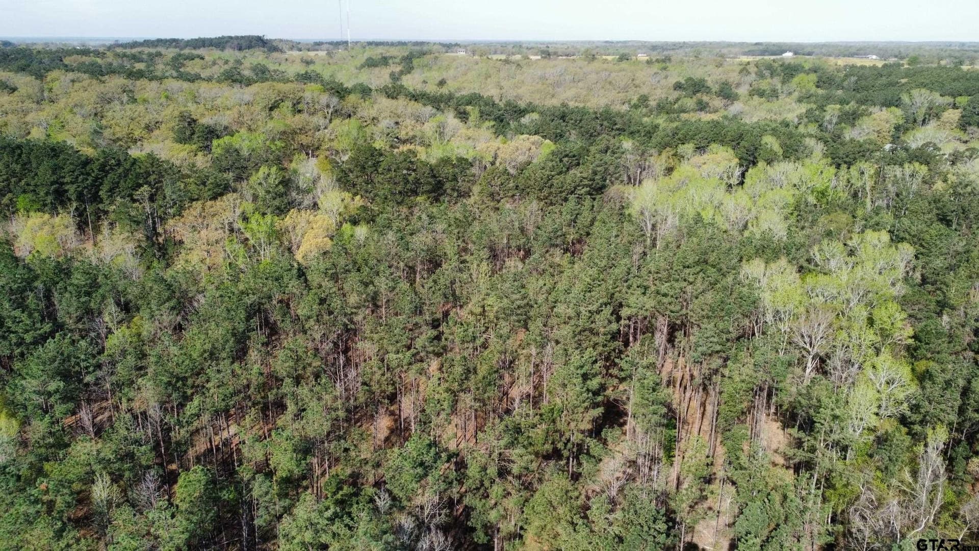 74.45 acres in Smith County - photo 36