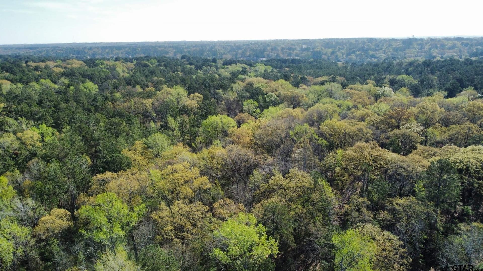 74.45 acres in Smith County - photo 17