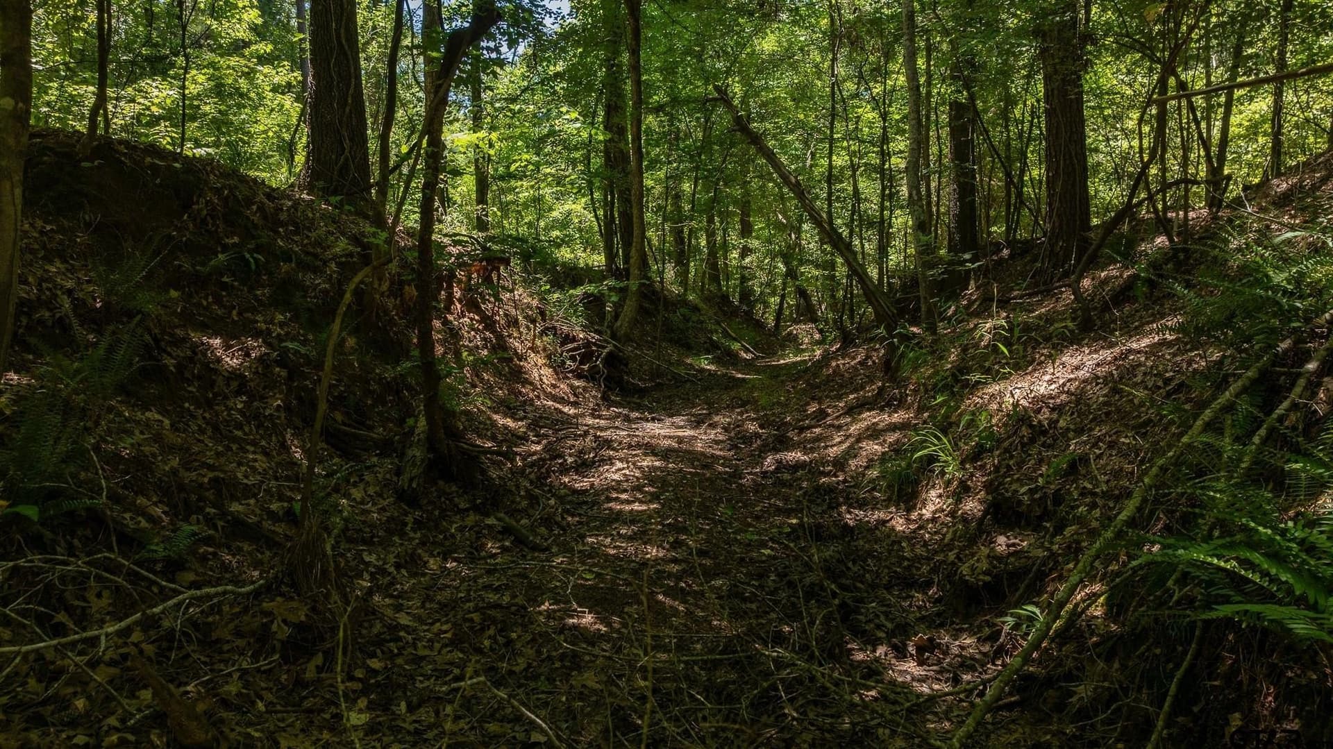 74.45 acres in Smith County - photo 16