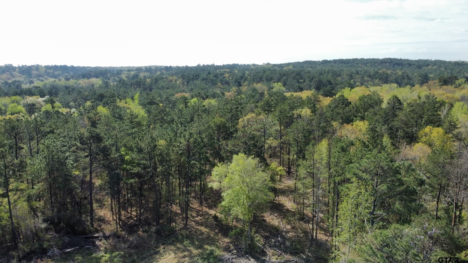 74.45 acres in Smith County - photo 28