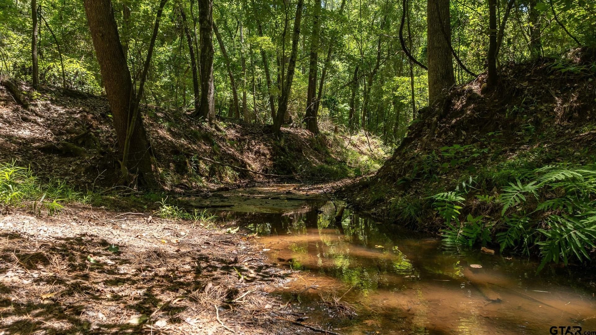 74.45 acres in Smith County - photo 11