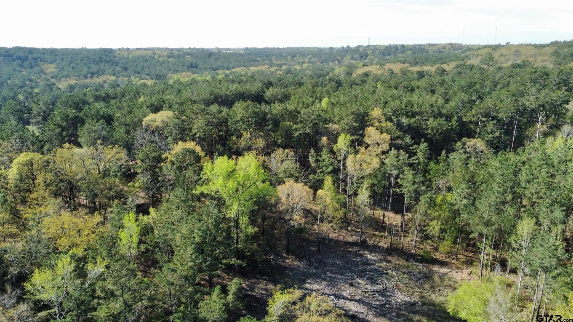 74.45 acres in Smith County - photo 30