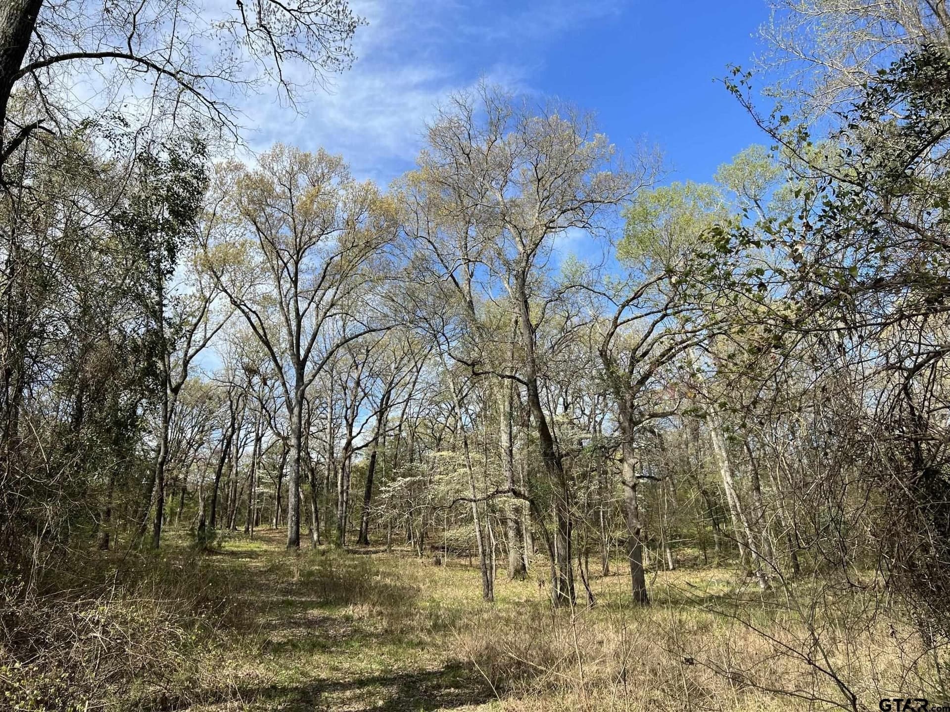 74.45 acres in Smith County - photo 7